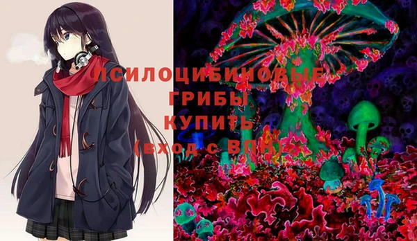 бутират Богородицк