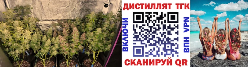 Дистиллят ТГК вейп с тгк  Купить  Ленинск-Кузнецкий 